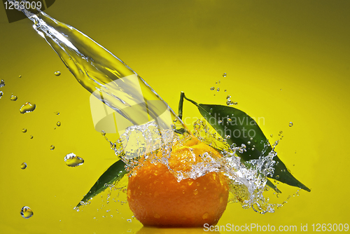 Image of Tangerine with green leaves and water splash on green background