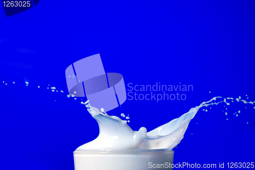 Image of Milk splash isolated on blue