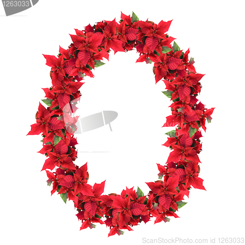 Image of letter from red christmas flowers isolated on white