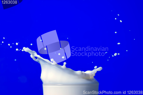 Image of Milk splash isolated on blue