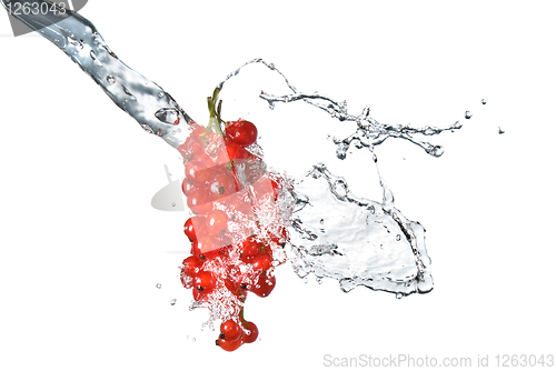 Image of redcurrant and water drops isolated on white