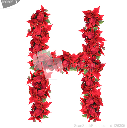 Image of letter from red christmas flowers isolated on white