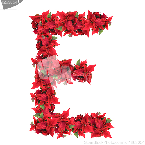 Image of letter from red christmas flowers isolated on white