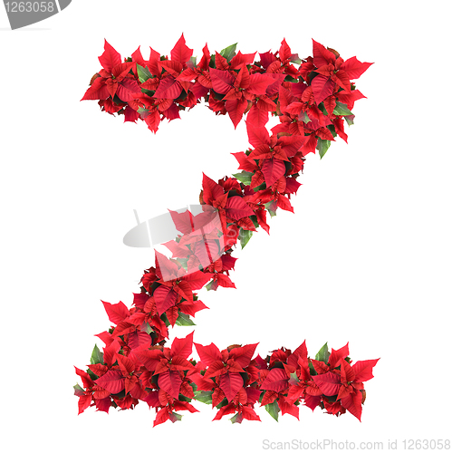 Image of letter from red christmas flowers isolated on white