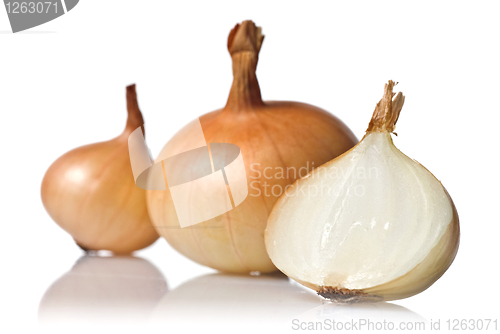 Image of onion isolated on white