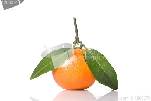 Image of Tangerine with green leaves isolated on white