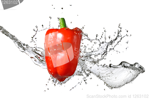 Image of fresh water splash on red pepper isolated on white