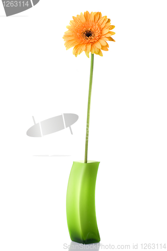 Image of Orange daisy-gerbera in green glass vase isolated on white