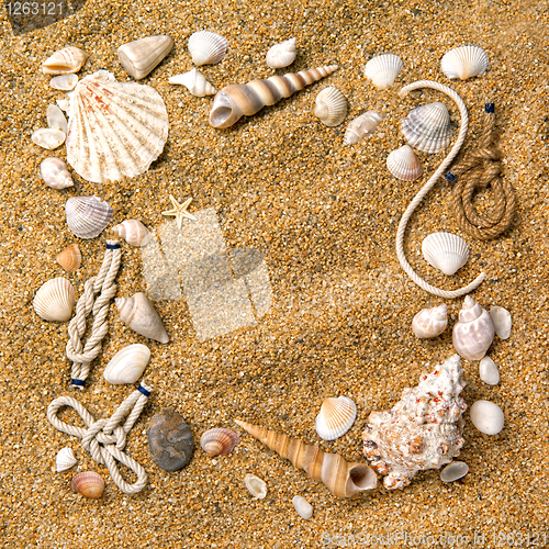 Image of frame from various shells on sand