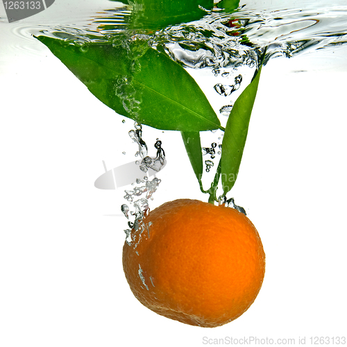 Image of tangerine dropped into water with bubbles on white