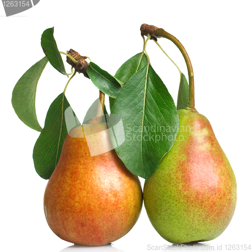 Image of pears with leaves isolated on white