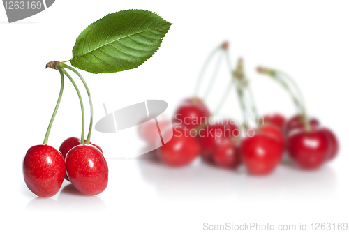 Image of red cherry with leaves isolated on white