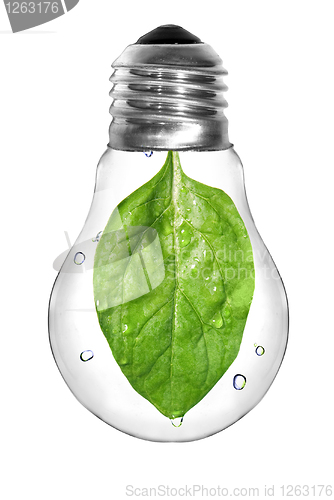 Image of Natural energy concept. Light bulb with green spinach leaf insid