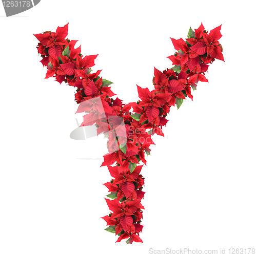 Image of letter from red christmas flowers isolated on white