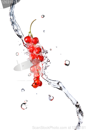 Image of redcurrant and water drops isolated on white