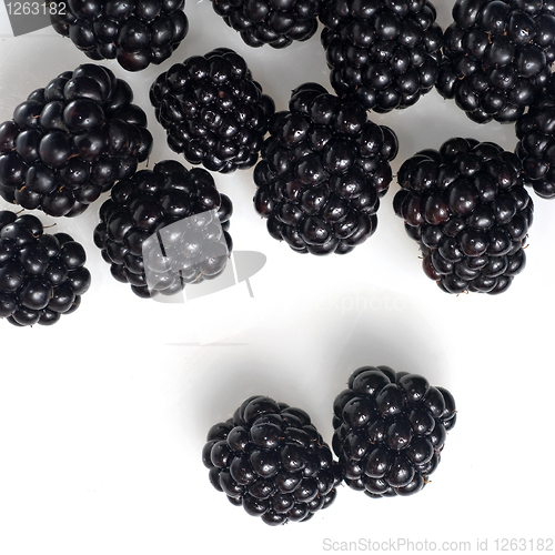 Image of blackberry isolated on white