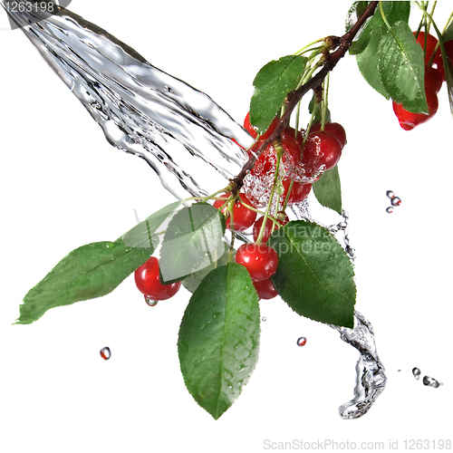 Image of red cherry with leaves and water splash isolated on white