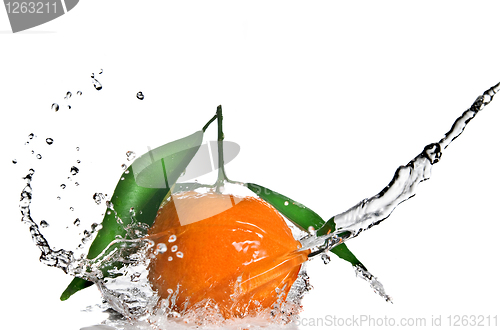 Image of Tangerine with green leaves and water splash isolated on white