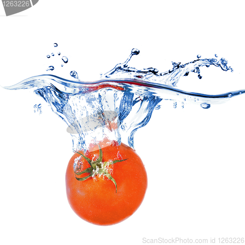 Image of red tomato dropped into water isolated on white