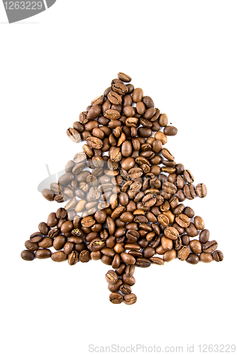 Image of fir-tree from coffee beans isolated on white