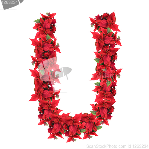 Image of letter from red christmas flowers isolated on white