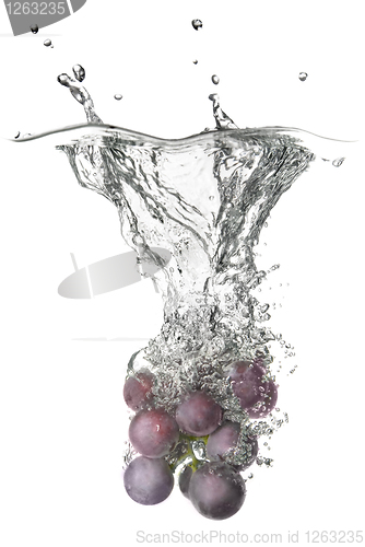 Image of blue grape dropped into water with splash isolated on white