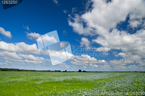 Image of Summer landscape
