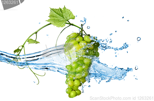 Image of green grape with water with splash isolated on white