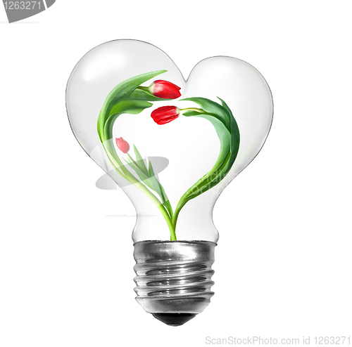 Image of Natural energy concept. Light bulb with tulips with shape of hea