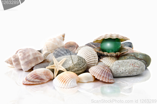 Image of various color shells with stylized pearl isolated on white