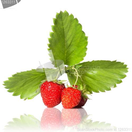 Image of Strawberry with leaves isolated on white