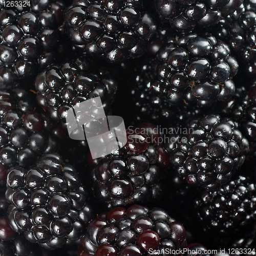 Image of background from blackberry