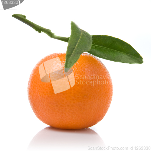 Image of Tangerine with green leaves isolated on white