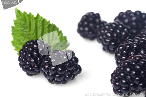 Image of blackberry with green leaf isolated on white
