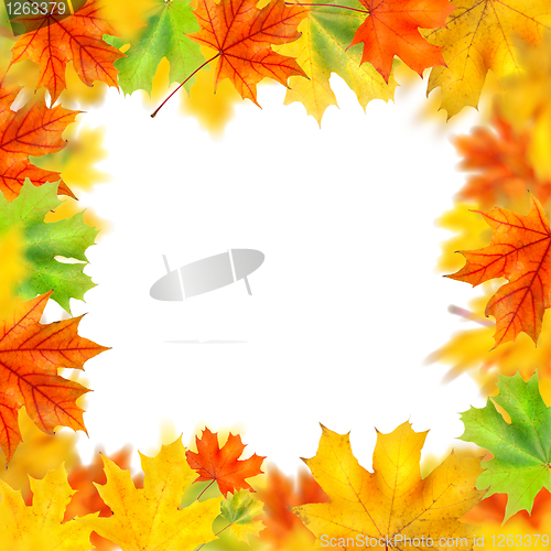 Image of frame from autumn leaves isolated on white