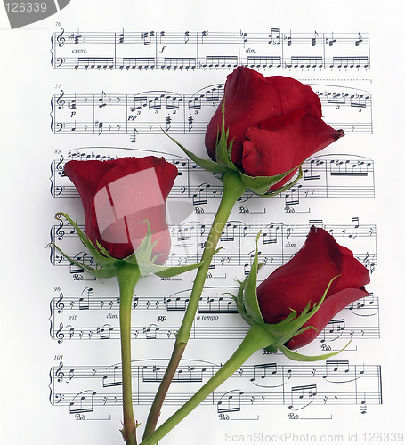 Image of Three Rose Music