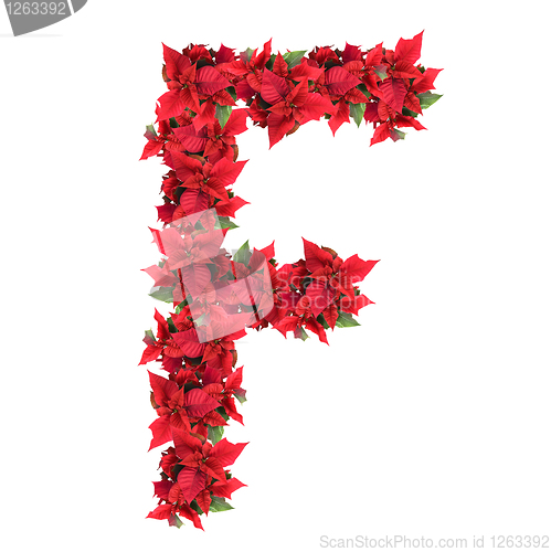 Image of letter from red christmas flowers isolated on white