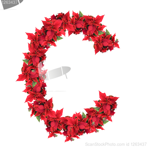 Image of christmas flower