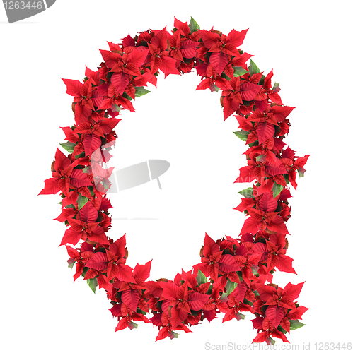 Image of letter from red christmas flowers isolated on white