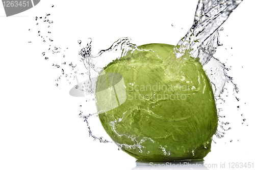 Image of fresh water splash on coconut isolated on white