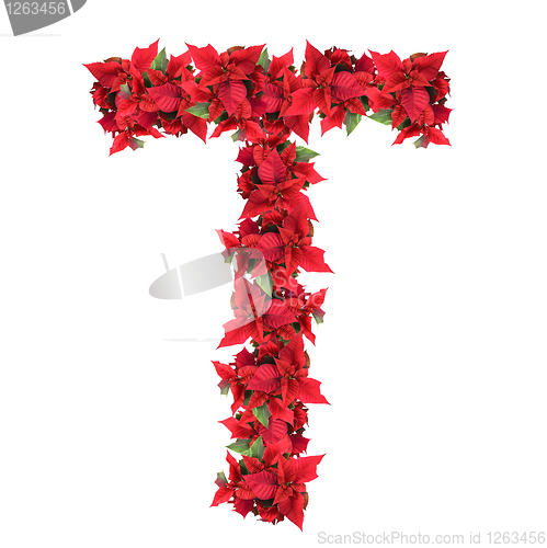 Image of letter from red christmas flowers isolated on white