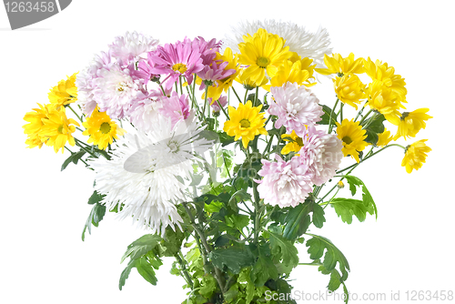 Image of chrysanthemum bouquet isolated on white