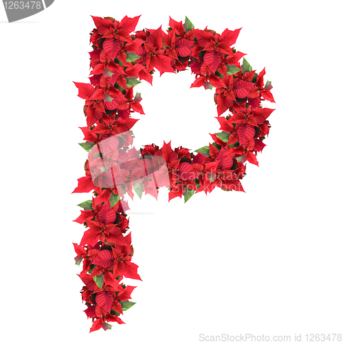 Image of letter from red christmas flowers isolated on white