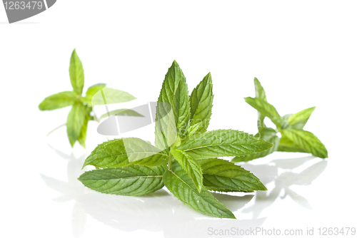Image of green mint isolated on white