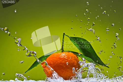 Image of Tangerine with green leaves and water splash on green background
