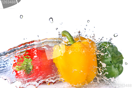 Image of red, yellow and green pepper with water splash isolated on white