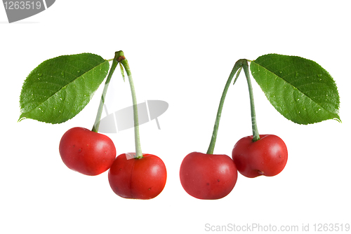 Image of red cherry with leaves isolated on white