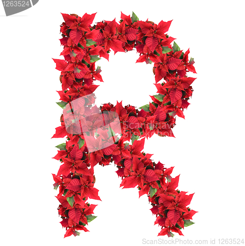 Image of letter from red christmas flowers isolated on white