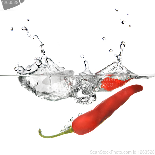Image of red pepper dropped into water with splash isolated on white