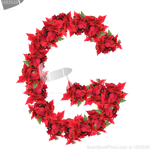 Image of letter from red christmas flowers isolated on white